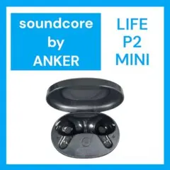 Soundcore Life P2 Mini バッテリー ケース ブラック③