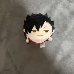 ハイキュー　もちもちマスコット　WA 黒尾鉄朗