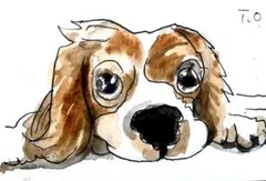 No1782ドローイング水彩画ワンちゃん犬