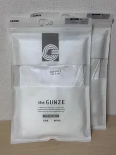 the GUNZE VネックTシャツ Sサイズ 2枚セット