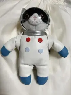 ヴィレッジヴァンガード 宇宙猫 パスポーチ アストロキャット