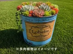 ①大型リメ缶٠リメイク缶٠リメ鉢٠ビンテージ鉢/小物入れ　(1号缶サイズ)のサムネイル