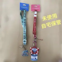 東京ディズニーリゾート ネックストラップ2点セット（ペットボトルホルダー付）