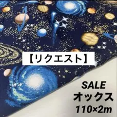 レモンチー(キャンペーン中☆)様 リクエスト 2点 まとめ商品