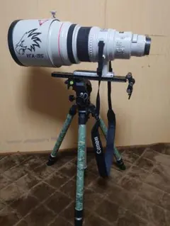 2026年最新】Canon 400mm f2.8の人気アイテム - メルカリ