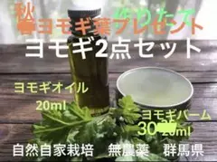 自然自家栽培　無農薬　10月手作りヨモギオイル、ヨモギバーム　２点セット