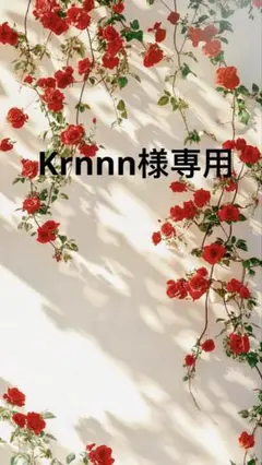 Krnnn様一枚