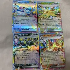 か*丸様 テラスタルフェス ブイズセット