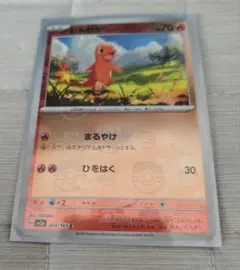 ポケモンカード　ひとかげ