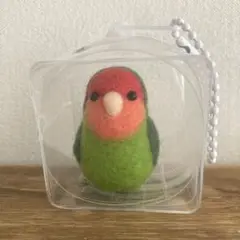 羊毛フェルト　コザクラインコ　ケースホルダー入り