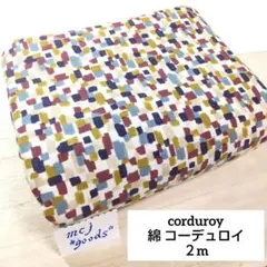 コットン シャツコーデュロイ2m　細畝コール天　アパレル秋冬　くすみマルチカラー