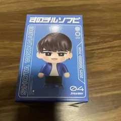 渡辺翔太　すのチルソフビ　SnowMan 2025 2026 ON 音故知新