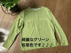 ◉美品　untitled 緑色 パターン 長袖シャツ
