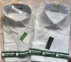 MILA MODA 形態安定　ドレスシャツ　無地＆ストライプ　ホワイト39-80