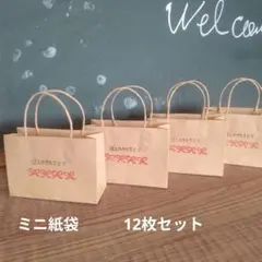 ハンドメイドミニ紙袋　クラフトリボンほんのきもちです　12枚セット