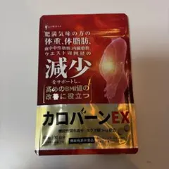 カロバーンEX 30日分 機能性表示食品のサムネイル