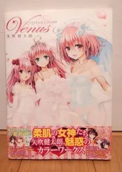 2026年最新】to loveる とらぶる ダークネス画集の人気アイテム - メルカリ