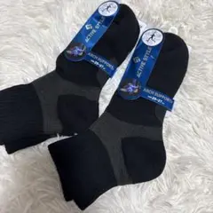 Item thumbnail for item 6eb46499-272b-401b-964d-e9e2ffd961e5