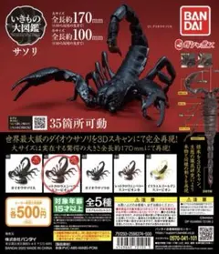 2025年最新】レッドクロウエンペラースコーピオンの人気アイテム