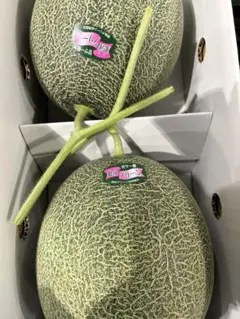 熊本産肥後グリーンメロン2玉のサムネイル