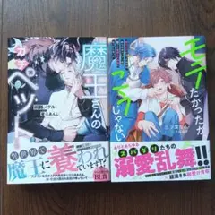 BL小説二冊セット