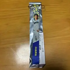 阪神タイガース　シークレットボンフィン　伊原