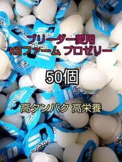 Item thumbnail for item 9e4c2b27-40b8-4bbc-9c49-760c7fba7969