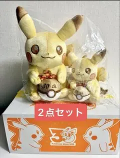 ピカチュウ 30th記念 ぬいぐるみセット　2体セット ポケモンセンター 30周年記念 ぬいぐるみ ピカピカ ピカチュウ 2個