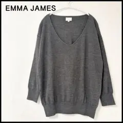 【未使用に近い】エマジェイムス 長袖 ニット セーター Vネック ラメ グレーL