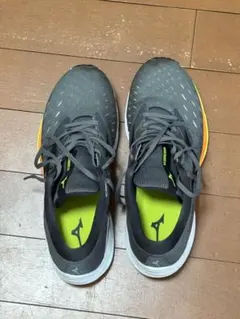 Item thumbnail for item bab6cdce-6e45-451c-82f4-cdcd19733ee9