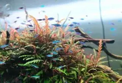 kousuke様 リクエスト 2点 まとめ商品