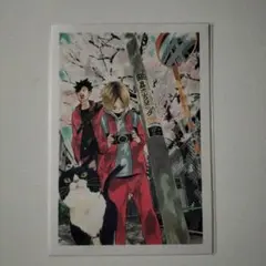 ハイキュー コトバの結晶展 ポストカード コンプリート ハイキュー コトバの結晶展 ポストカード コンプリート 連載完結記念