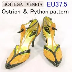 ✨RARE✨ BOTTEGA VENETA Ostrich ＆ Python