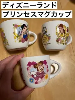 ディズニーランド　プリンセスdayマグカップ