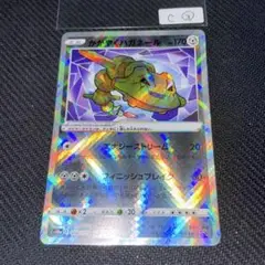 C③かがやくハガネール