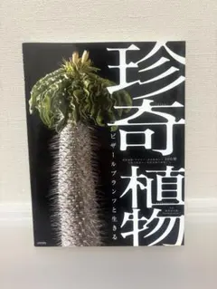 珍奇植物 ビザールプランツと生きる　コーデックス