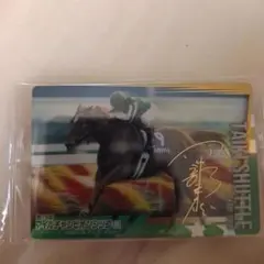 即決　タイキシャトル G1 トレーディングカード