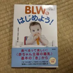 BLW(赤ちゃん主導の離乳)をはじめよう!