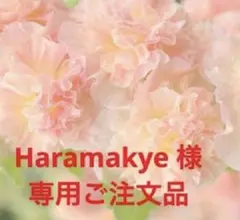 Haramakye 様　専用ご注文品