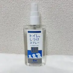 Item thumbnail for item 884634bc-b807-4da0-b751-1f27a6f2c188