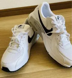 【新品未使用】Nike Air Max ホワイト 25cm