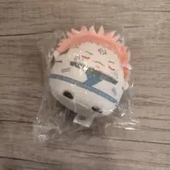 呪術廻戦 両面宿儺 くじメイト E賞 てのりんずコレクション