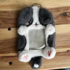 ボーダーコリー トレカケース