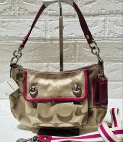 COACH F13833 ポピー シグネチャー 2WAYバッグ