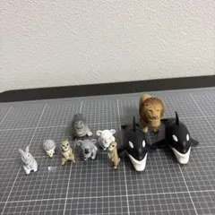 シャクレルプラネット