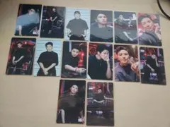 HOSHIXWOOZI WARNING ウジの分 A.Bトレカ14セット