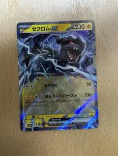 ゼクロムEX 230HP 雷タイプ　RR