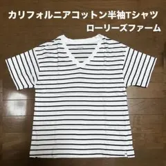 【used】ボーダー柄カリフォルニアコットン半袖Tシャツ/ローリーズファーム/L