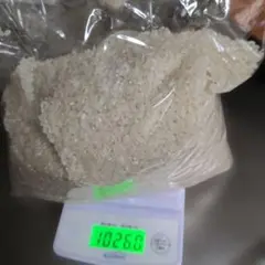 供米　神棚　白米 精米 約1kg　無洗米