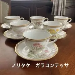 ノリタケ ガラコンテッサ カップ＆ソーサー 6客セット 廃盤希少絵